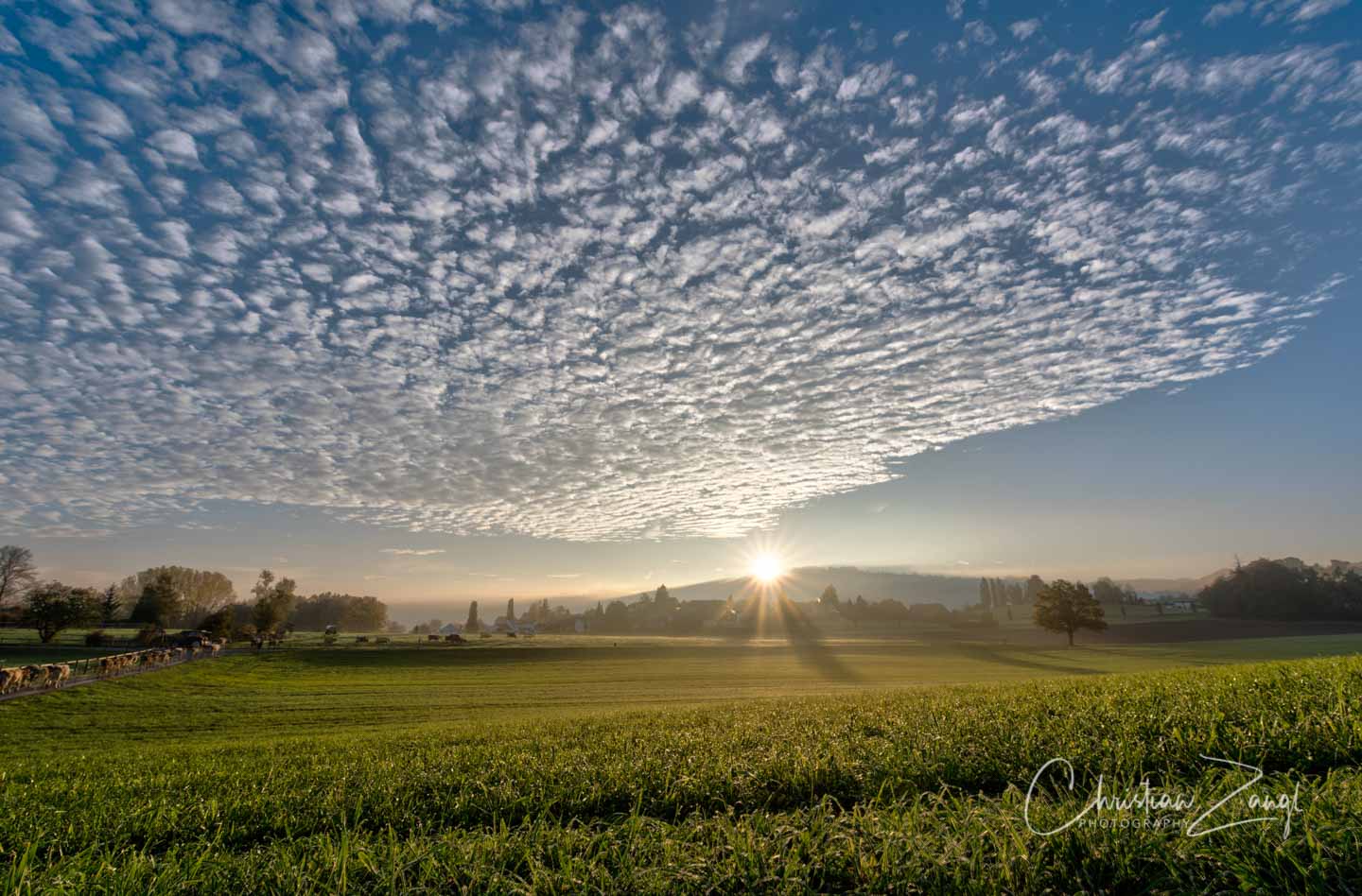 Morgenstimmung beim Schloss Watt in Mörschwil