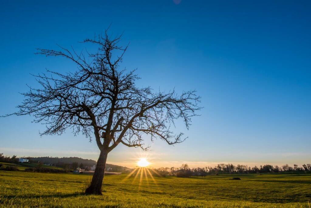 Sonnenuntergang - hoher Dynamikumfang