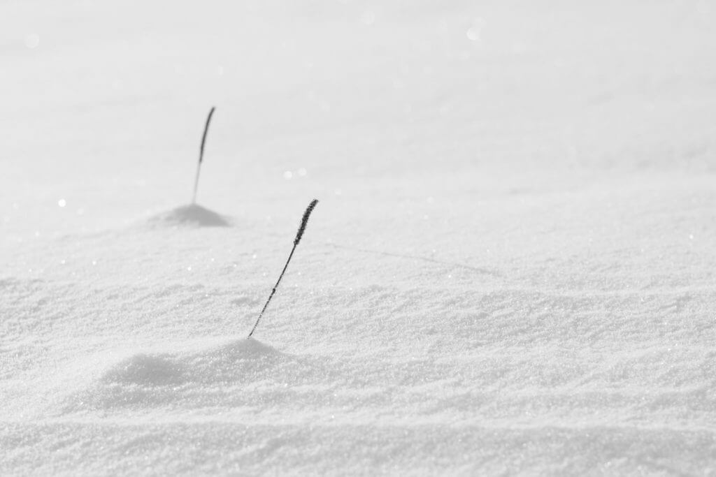 Strukturen im hellen Schnee - Fotografieren im Schnee