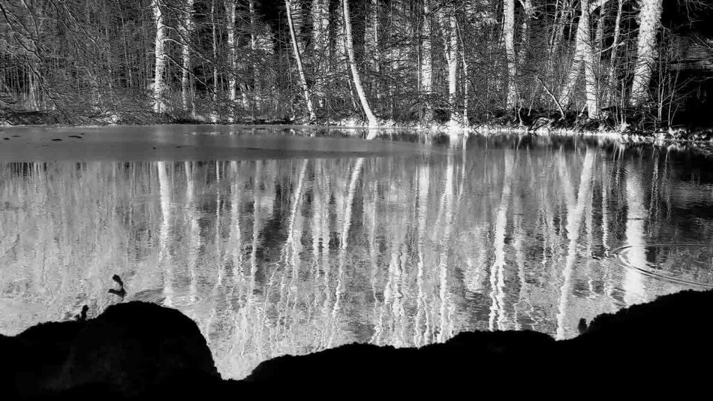 Winterstimmung am Weiher mit Negativ-Effekt- fotografieren im Schnee