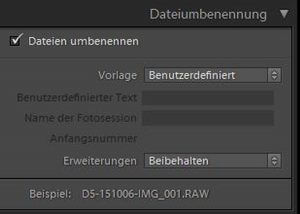 Dateien in Lightroom umbenennen
