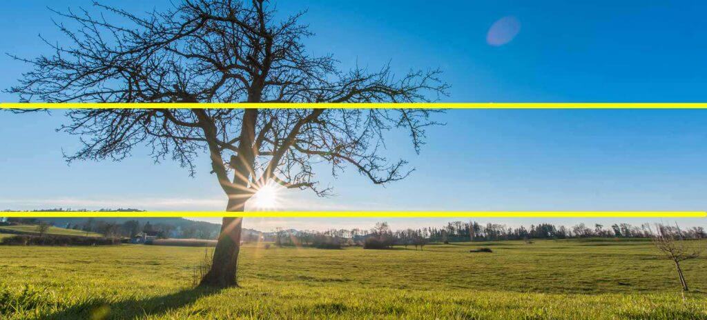 Drittel Regel Landschaftsaufnahmen - Baum im Gegenlicht