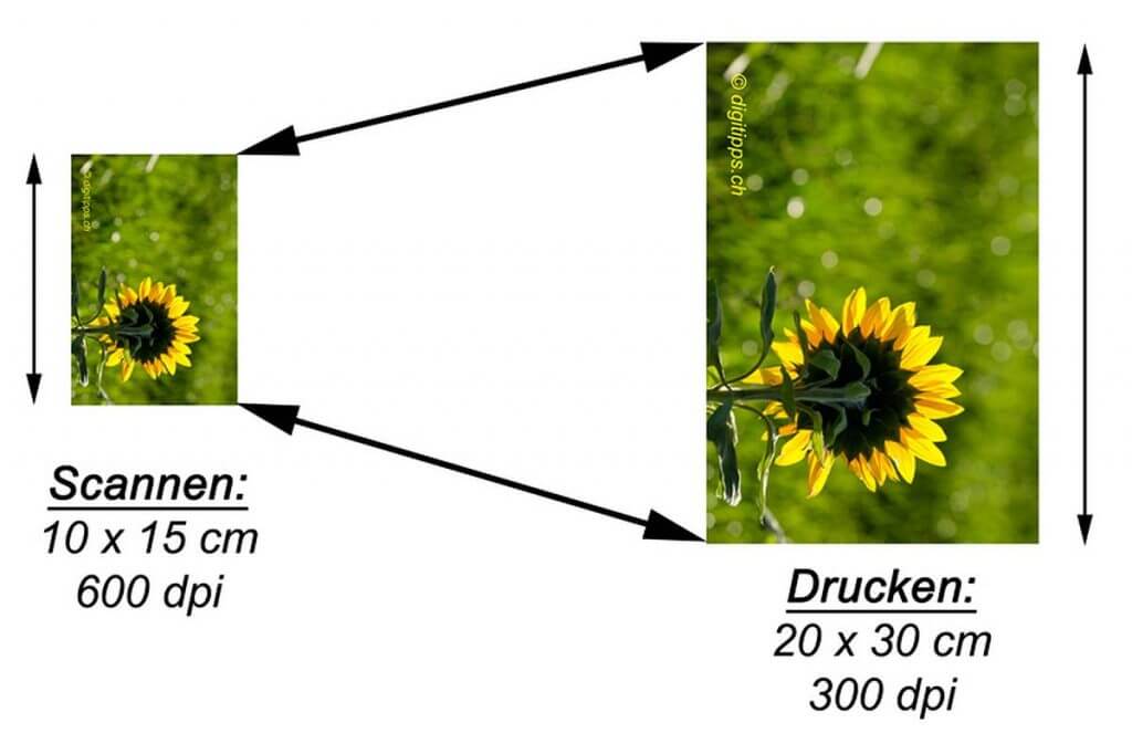 Fotos 2:1 für einen Fotoausdruck scannen - mit welcher Auflösung Fotos oder Bilder einscannen
