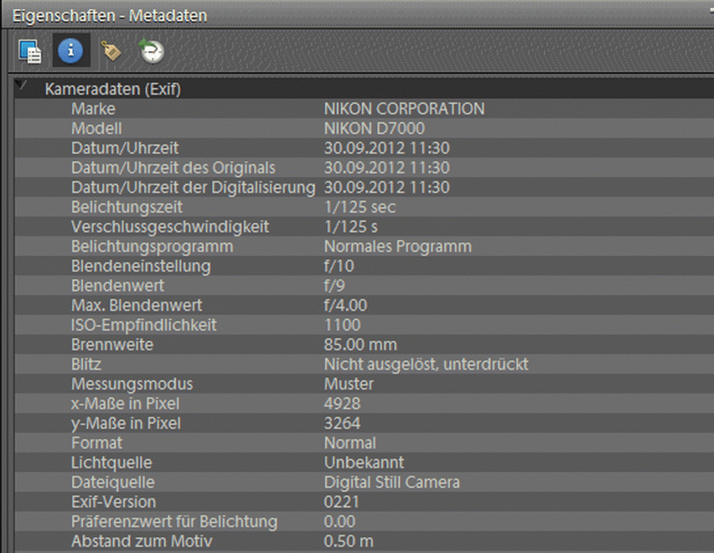 Exif Daten unter Photoshop Elementes