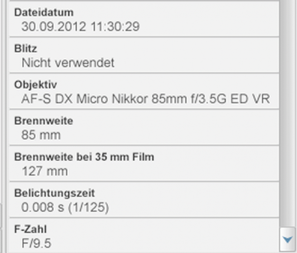 Exif Daten unter Picasa