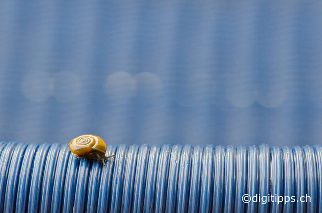 Exif Daten in Digitalbildern - Schnecke auf blauem Stuhl