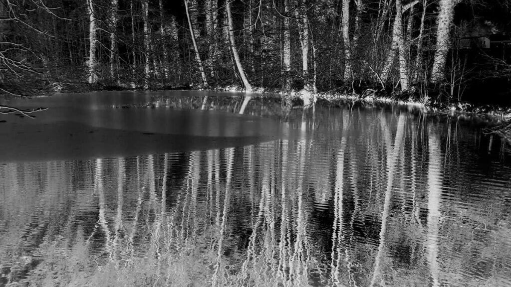 Winzerzauber am Weiher