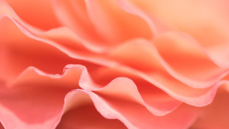 Belichtungsmesser - Messmethoden