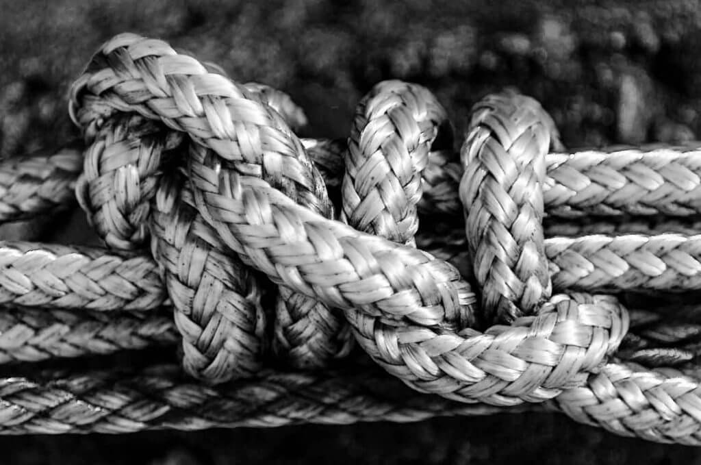 Knoten am Seeufer - Digitale Fotografie