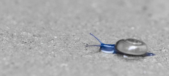 selektives Schwarzweissbild mit Photoshop Elements