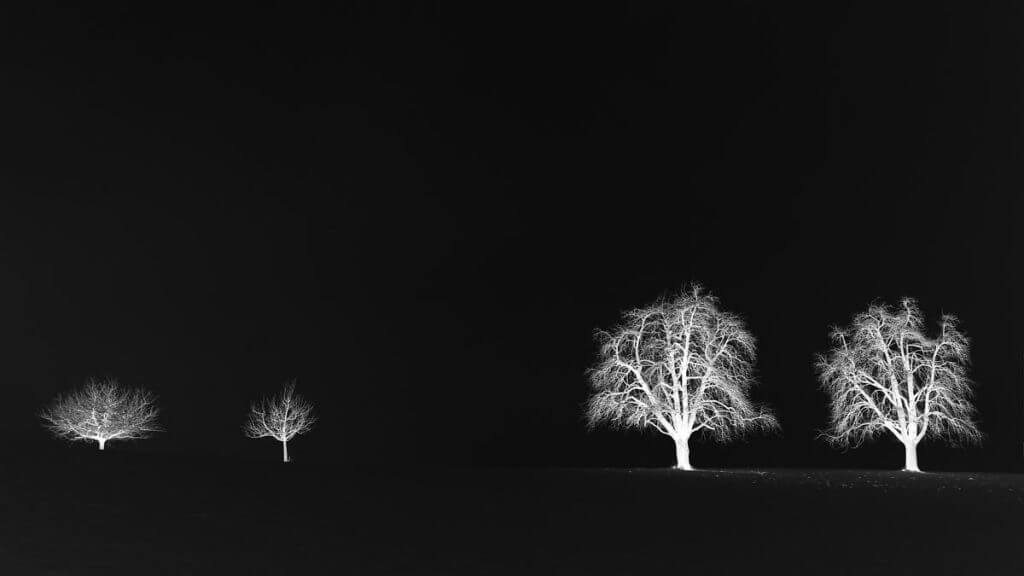 Winterbäume im Nebel - Negativ Effekt