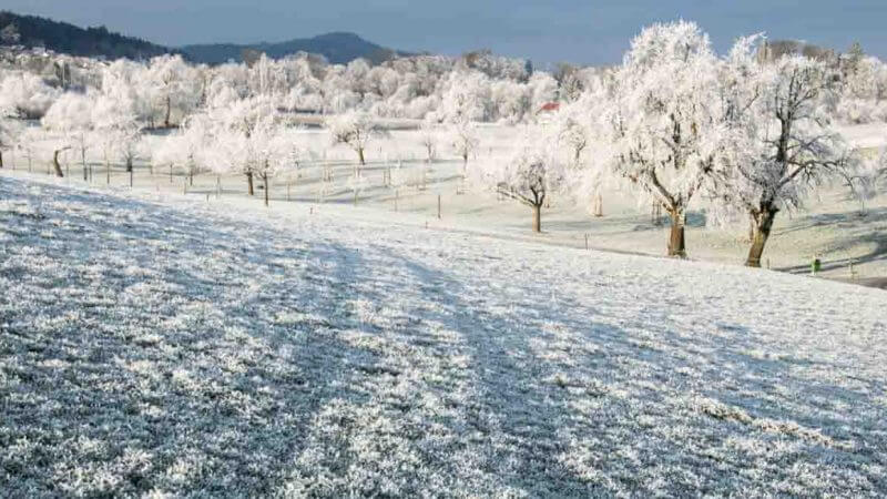 An der Nebelgrenze fotografieren
