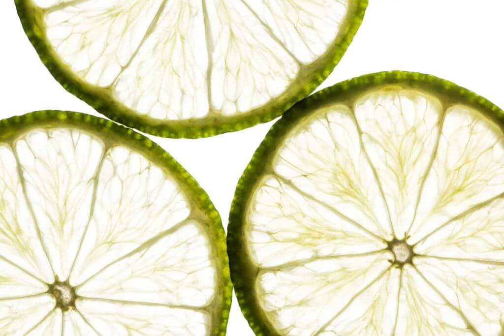 Limettenscheiben im Durchlicht