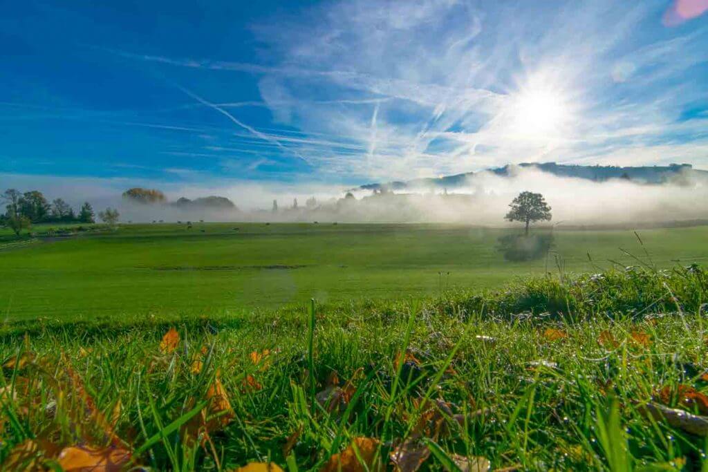 Nebelstimmung am frühen Morgen