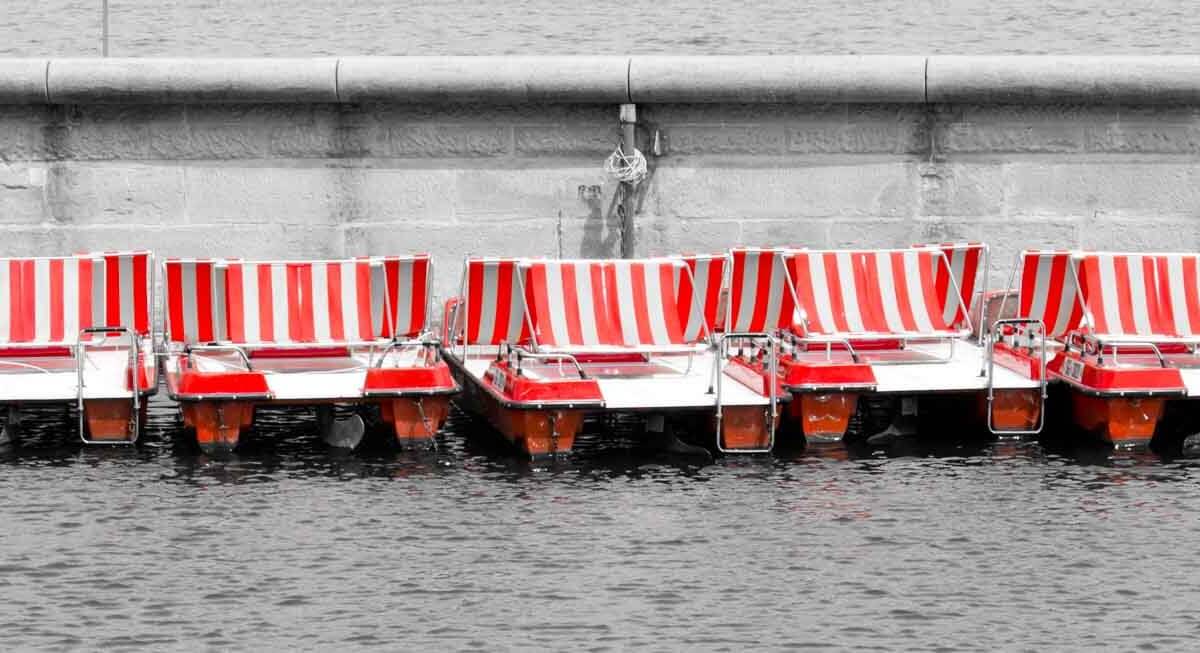 Fotografieren für Anfänger