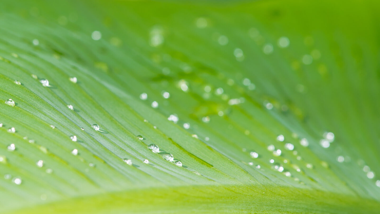 Zwischenringe - Wassertropfen