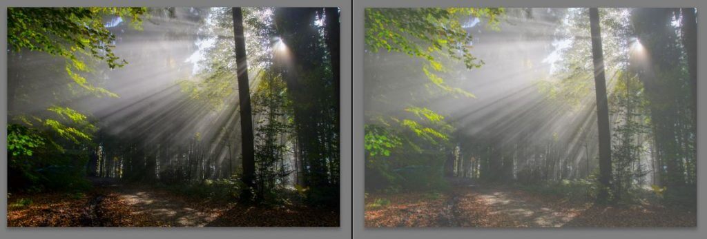 Originalbild links und Nebeleffekt rechts - Gradationskurve Lightroom