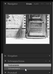 Schnappschuss und Navigator