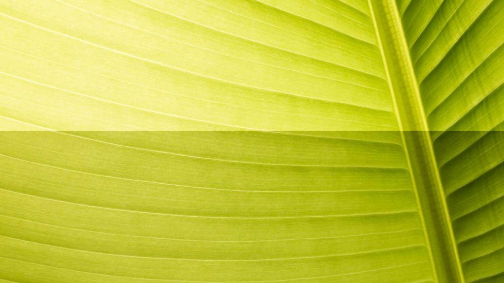 Überbelichtung vermeiden