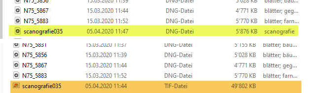 TIFF Format in DNG konvertieren