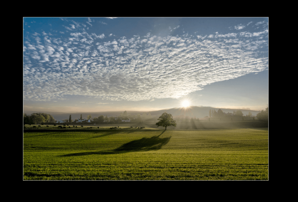 Bilder in Lightroom schnell praesentieren