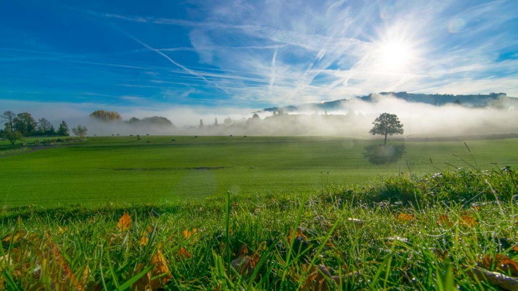 Blendenflecken und Lensflares