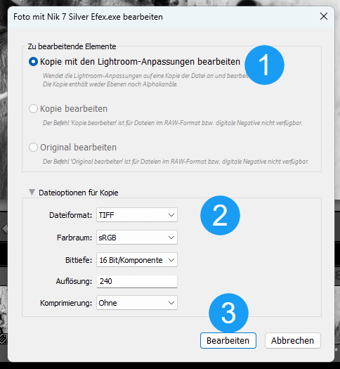Nik 7 Silver Efex Bildentwicklung Einstellungen