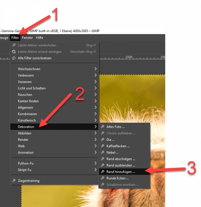 Rahmen um Bild erstellen in GIMP › Digitipps.ch der Online Fotokurs