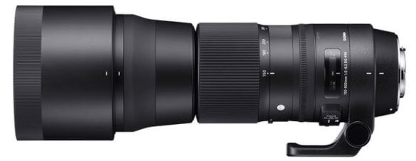 Sigma 150–600 mm f 5-6.3 Zoom Bild Sigma