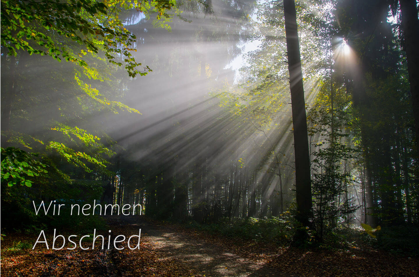 Trauerkarten drucken - digitipps Fotografie