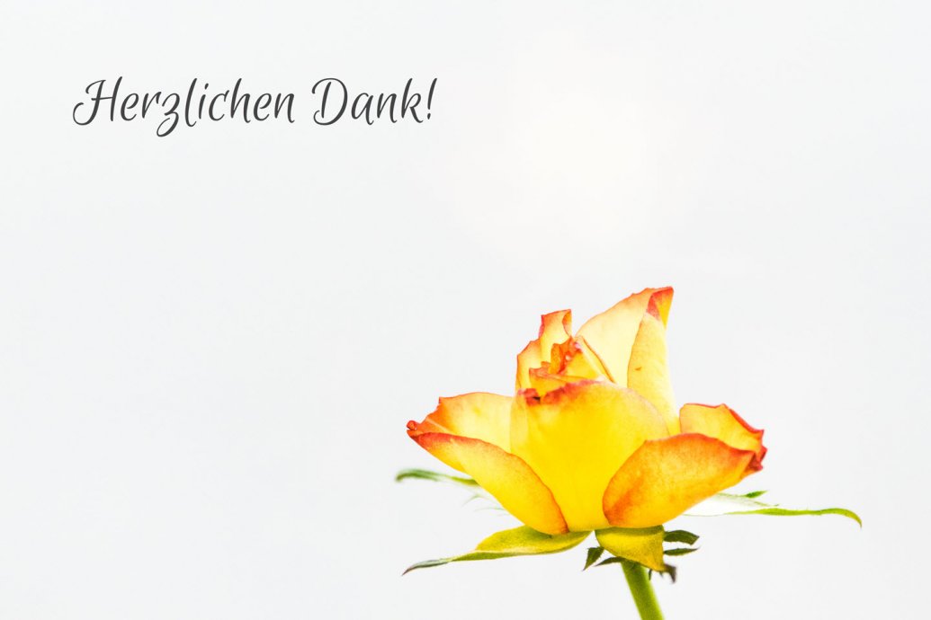Dankeskarten ausdrucken - Fotografieren mit digitipps