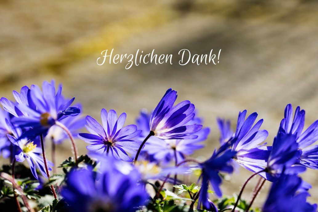  Dankeskarten ausdrucken - digitipps Fotografie Illustration 