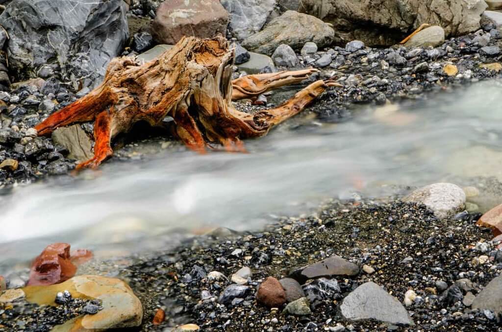 Wurzel im Bachbett bei Bergün