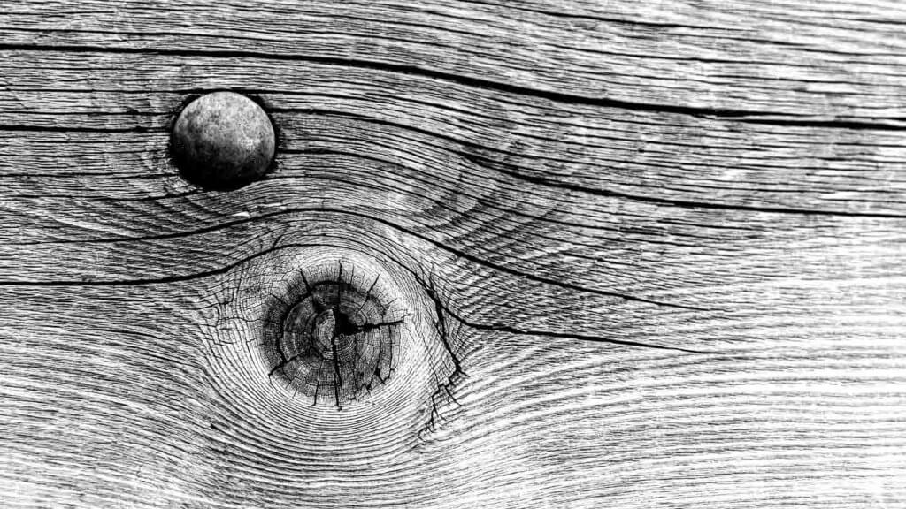 Holzstrukturen fotografieren