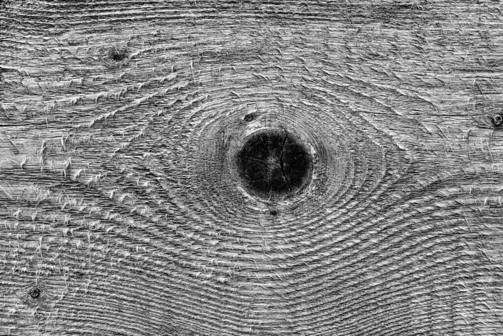 Holzstrukturen fotografieren 5878
