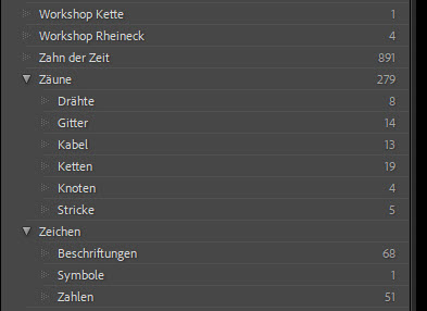 Stichwortliste in Lightroom verwenden Stichwortliste in Lightroom mit hierarchischen Stichwörtern