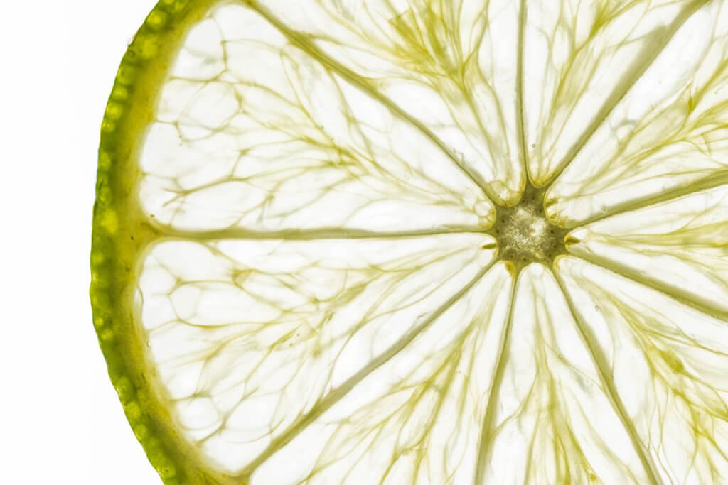 Im Makrobereich fotografieren Limettenscheibe
