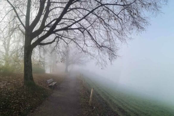 Bilder in Gimp weichzeichnen Spazierweg im Herbst mit NEbel