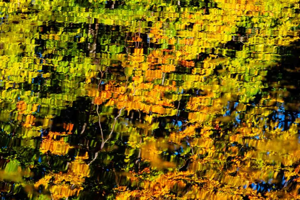 Spiegelungen von Herbstfarben im Weiher