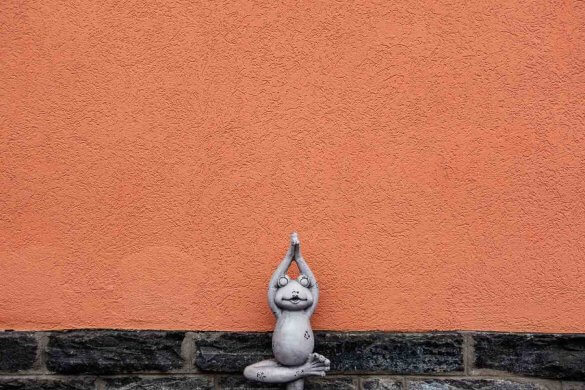 Froschgymnastik - Online Fotokurs