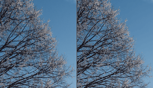 Vergleich RAW-Bild und Entwicklung in PureRAW 4