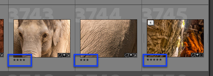 Fotos in Lightroom mit Sternen bewerten Fotos in Lightroom mit drei bis fünf Sternen bewerten