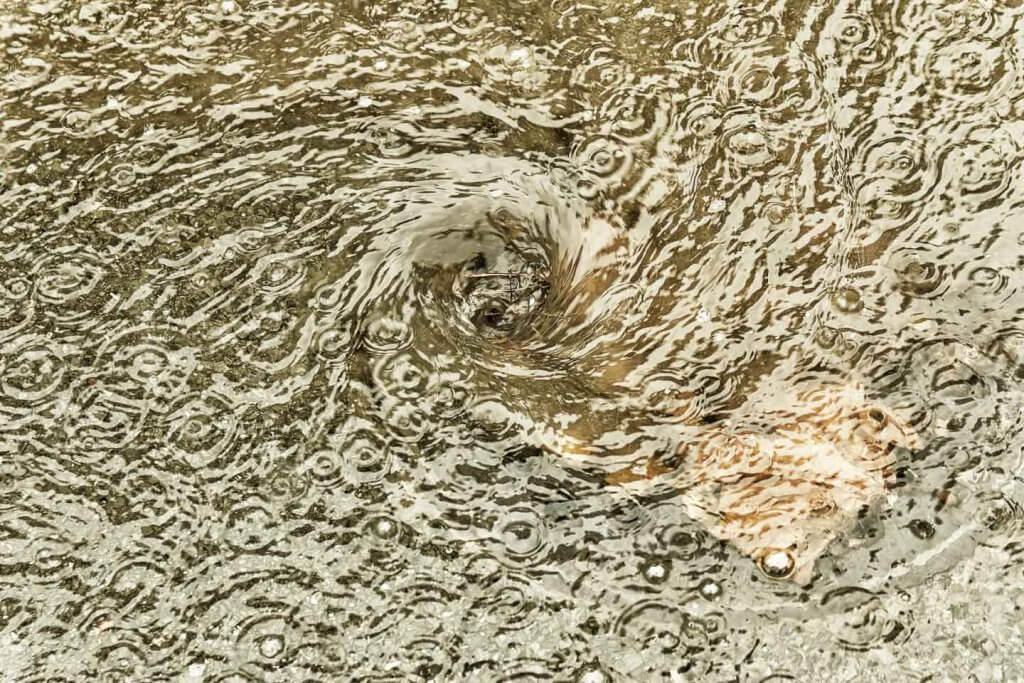 Starkregen - available Light Aufnahme