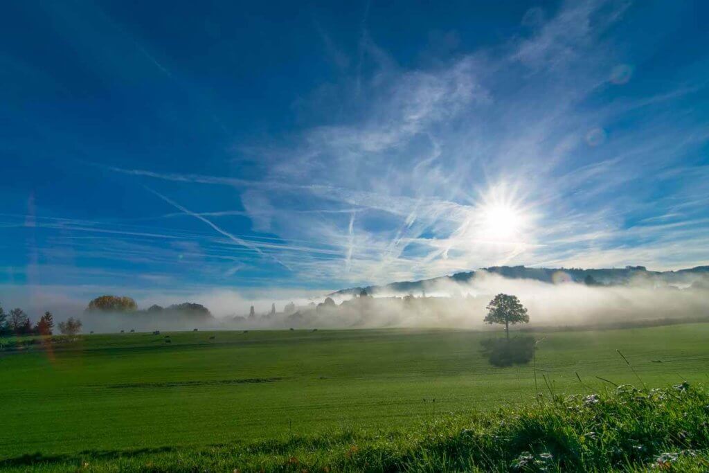 Nebelstimmung in Mörschwil