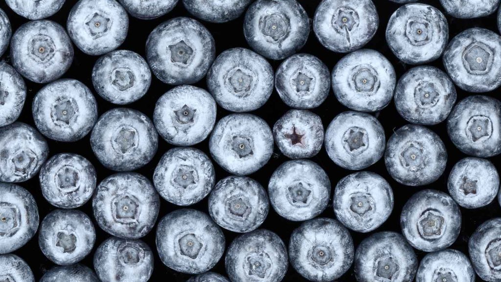 scanografie mit flachbettscanner