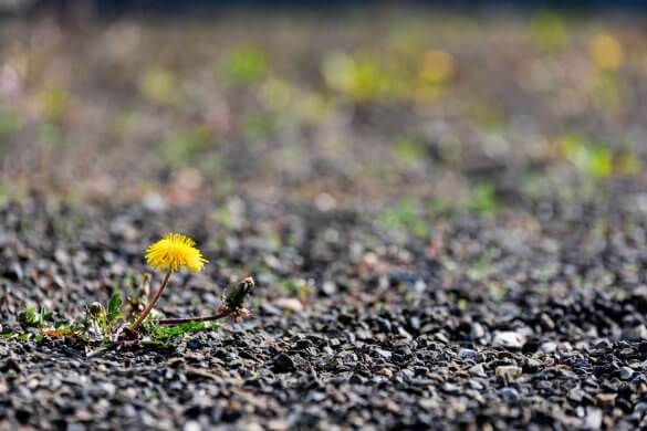 Autofokus funktioniert nicht