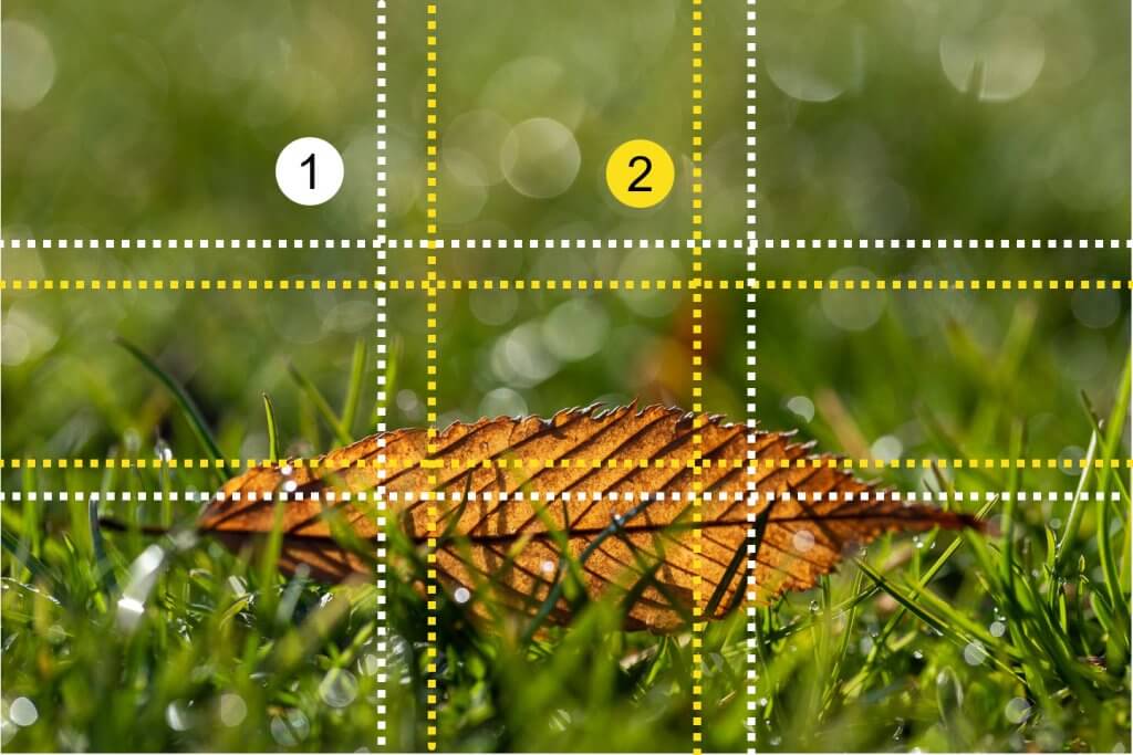 Vergleich Goldener Schnitt vs Drittelslinien