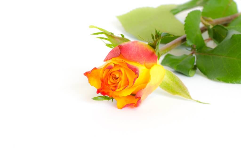 Vergleich Wirkung des Goldenen Schnitts (1)