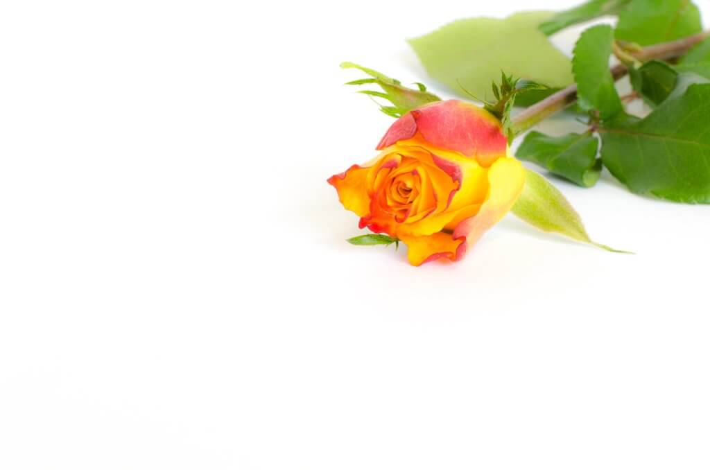 Vergleich Wirkung des Goldenen Schnitts (2)