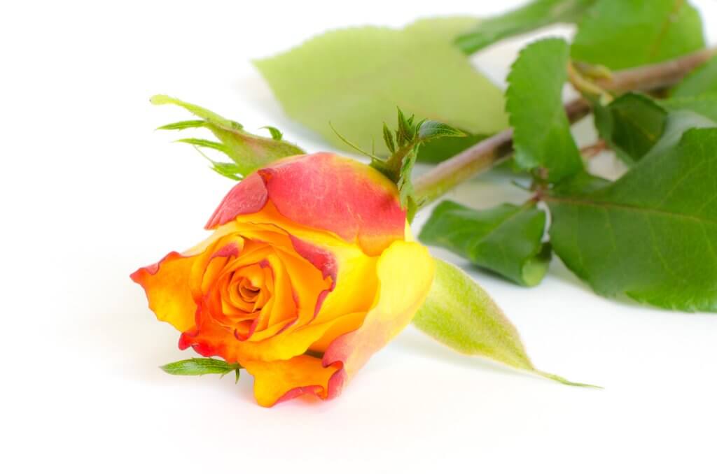 Vergleich Wirkung des Goldenen Schnitts (2)